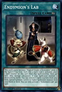 Endymion's Lab: Structure Deck: Order of the Spellcasters