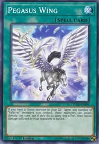 Pegasus Wing: Dark Neostorm