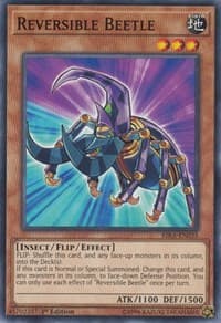 Reversible Beetle: Rising Rampage