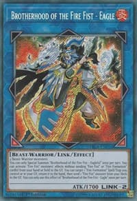 Brotherhood of the Fire Fist - Eagle: Fists of the Gadgets
