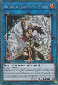Brotherhood of the Fire Fist - Peacock: Fists of the Gadgets