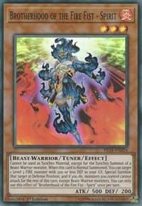 Brotherhood of the Fire Fist - Spirit: Fists of the Gadgets