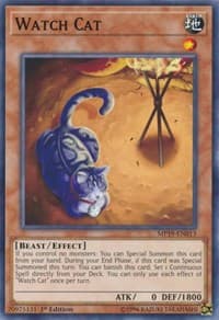 Watch Cat: 2019 Gold Sarcophagus Tin Mega Pack