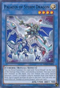Paladin of Storm Dragon: 2019 Gold Sarcophagus Tin Mega Pack
