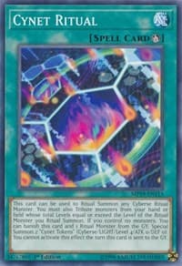 Cynet Ritual: 2019 Gold Sarcophagus Tin Mega Pack