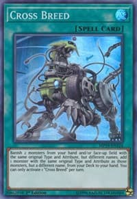 Cross Breed: 2019 Gold Sarcophagus Tin Mega Pack