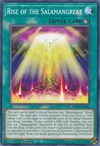 Rise of the Salamangreat: 2019 Gold Sarcophagus Tin Mega Pack