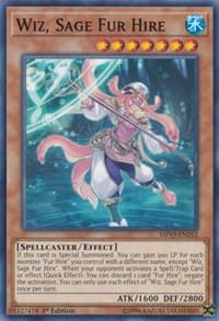 Wiz, Sage Fur Hire: 2019 Gold Sarcophagus Tin Mega Pack