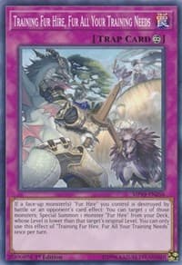 Training Fur Hire, Fur All Your Training Needs: 2019 Gold Sarcophagus Tin Mega Pack