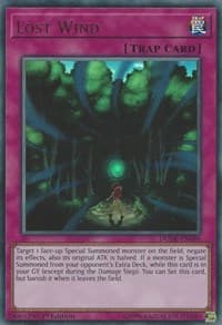 Lost Wind: Duel Devastator