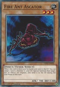 Fire Ant Ascator: Legendary Duelists: Immortal Destiny