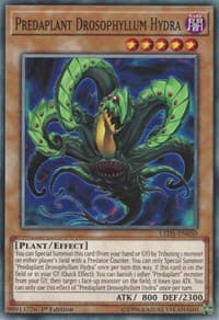 Predaplant Drosophyllum Hydra: Legendary Duelists: Immortal Destiny