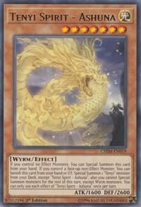 Tenyi Spirit - Ashuna: Chaos Impact