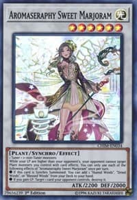 Aromaseraphy Sweet Marjoram: Chaos Impact