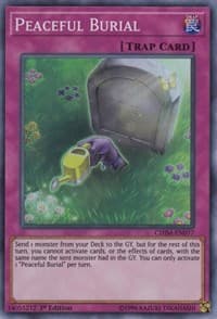 Peaceful Burial: Chaos Impact
