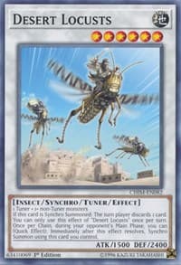 Desert Locusts: Chaos Impact