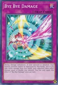 Bye Bye Damage: Chaos Impact
