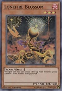 Lonefire Blossom: Mystic Fighters