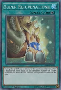 Super Rejuvenation: Mystic Fighters