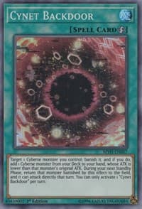 Cynet Backdoor: Mystic Fighters