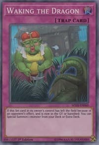 Waking the Dragon: Mystic Fighters