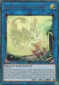 Protector Whelp of the Destruction Swordsman: Duel Overload