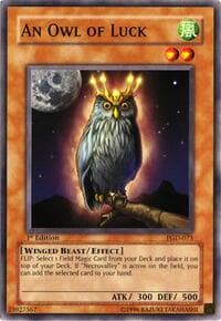 An Owl of Luck: Pharaonic Guardian