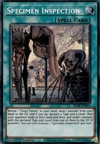 Specimen Inspection: Battles of Legend: Armageddon