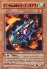Bombardment Beetle: Pharaoh's Servant