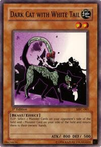 Dark Cat with White Tail: Magician's Force