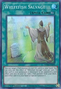 Whitefish Salvage: 2020 Tin of Lost Memories