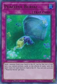 Peaceful Burial: 2020 Tin of Lost Memories