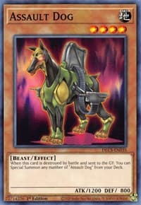 Assault Dog: Dragons of Legend: The Complete Series