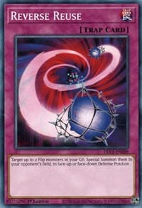 Reverse Reuse: Dragons of Legend: The Complete Series