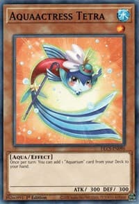 Aquaactress Tetra: Dragons of Legend: The Complete Series