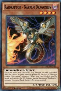 Raidraptor - Napalm Dragonius: Dragons of Legend: The Complete Series