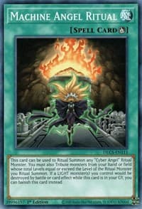 Machine Angel Ritual: Dragons of Legend: The Complete Series