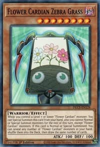 Flower Cardian Zebra Grass: Dragons of Legend: The Complete Series