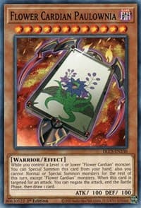 Flower Cardian Paulownia: Dragons of Legend: The Complete Series