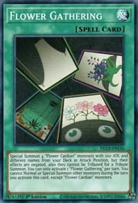Flower Gathering: Dragons of Legend: The Complete Series