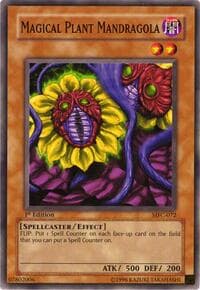 Magical Plant Mandragola: Magician's Force