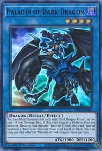 Paladin of Dark Dragon (Purple): Dragons of Legend: The Complete Series