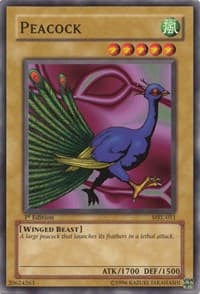 Peacock: Magic Ruler