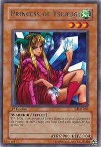 Princess of Tsurugi: Metal Raiders
