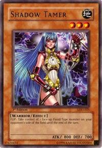Shadow Tamer: Legacy of Darkness
