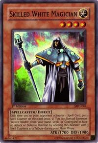 Skilled White Magician: Magician's Force