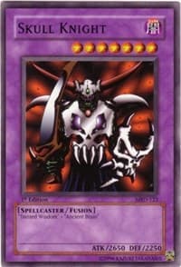 Skull Knight: Metal Raiders