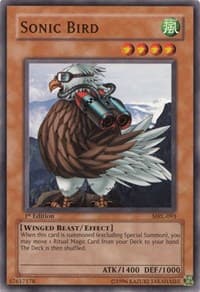 Sonic Bird: Magic Ruler