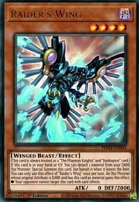 Raider's Wing: Phantom Rage