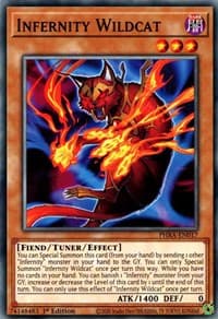 Infernity Wildcat: Phantom Rage